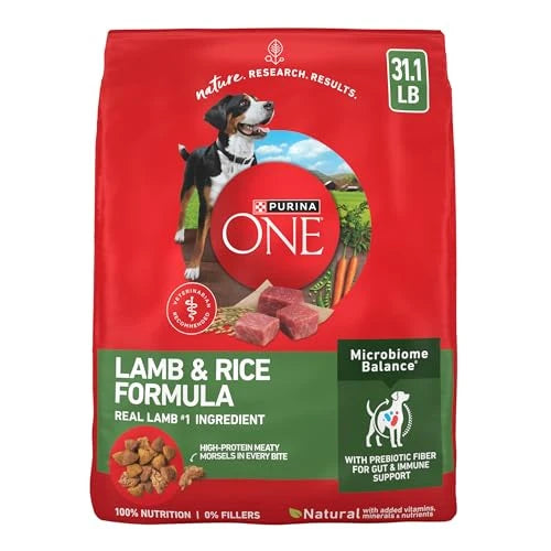 Purina ONE Lamb and Rice Dog Food